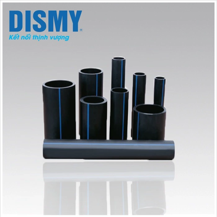 dismy