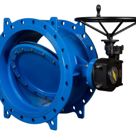 Van bướm lệch tâm kép BLUCAST