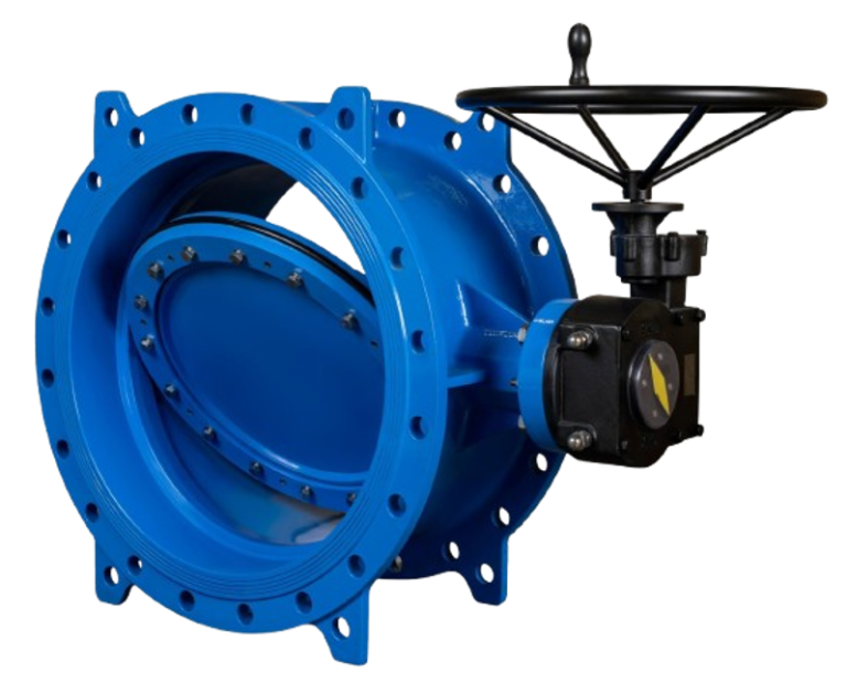 Van bướm lệch tâm kép BLUCAST