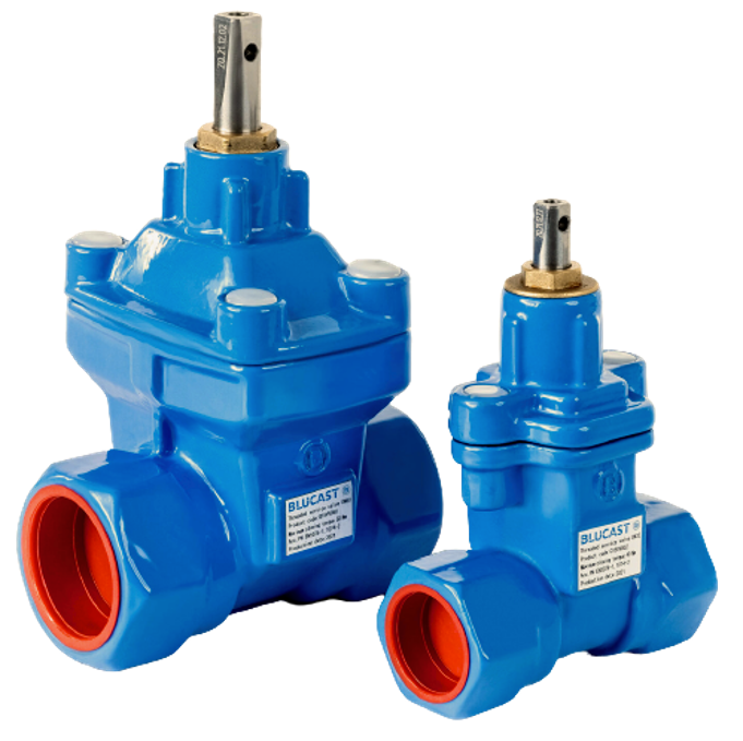 Van cổng nối ren BLUCAST